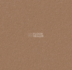 Линолеум Forbo Bulletin Board 2166 nutmeg spice фото 1 | FLOORDEALER